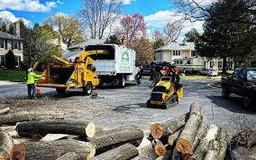 Best Tree Planting  in Manasquan, NJ